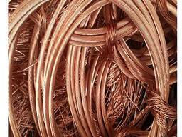 Best Quality High Quality Copper Wire Metal Scrap with 99.95% for Sale