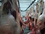 Buffalo Meat (Halal), Sheep Tail Fat - photo 1