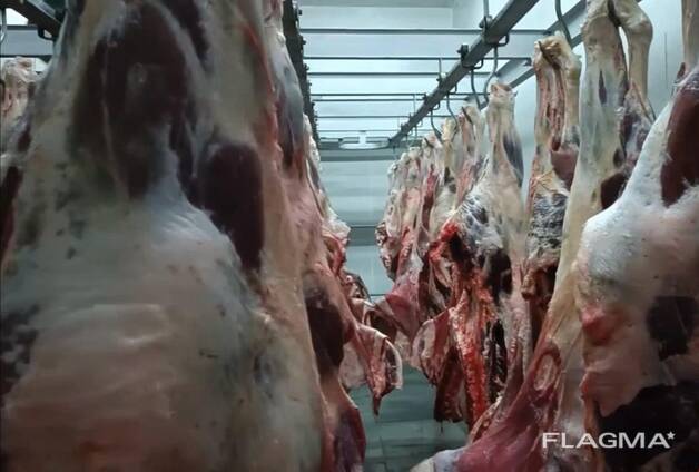 Buffalo Meat (Halal), Sheep Tail Fat