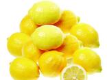 Fresh lemon fruits for sale - photo 3