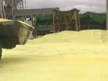 Granulated sulfur, lump sulfur - photo 1