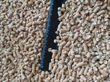 Гранулы древесные топливные пеллеты светлые 6 мм сосна экспорт FCA-Шклов, Беларусь - photo 3
