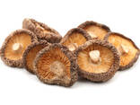 Hot Sale Log White Flower Mushroom / Dry Shiitake /hot Sale Dried Mushroom - photo 1