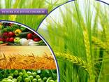 Pesticides manufacturer and supplier worldwide - photo 1