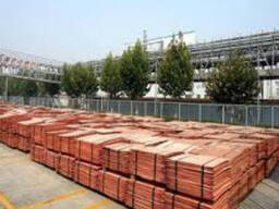 Premium Grade Copper Cathode Fast Shipping Available Bulk