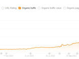 SEO promotion - photo 4