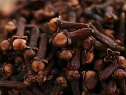 Spice Wholesale Good Quality Dried Cloves Cheap Price Cloves Spices