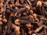 Spice Wholesale Good Quality Dried Cloves Cheap Price Cloves Spices - photo 3