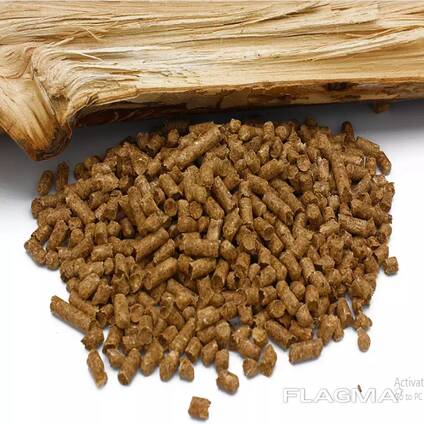 Wood pellets in Bulk available for best price
