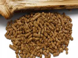 Wood pellets in Bulk available for best price